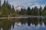 Mt Hood In Mirror Lake